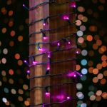 Commercial Grade Wide Angle 50 LED Pink 25' Long on Green Wire
