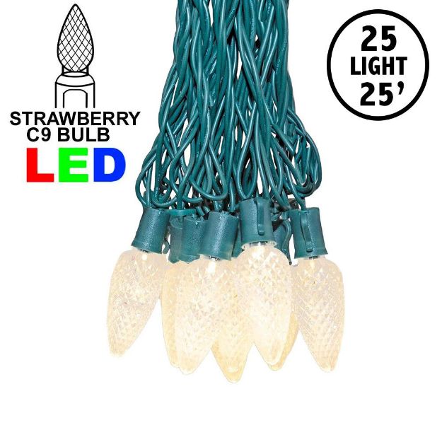 25 Warm White LED C9 Pre-Lamped String Lights Green Wire