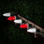 Red/Pure White C9 LED Replacement Bulbs 25 Pack