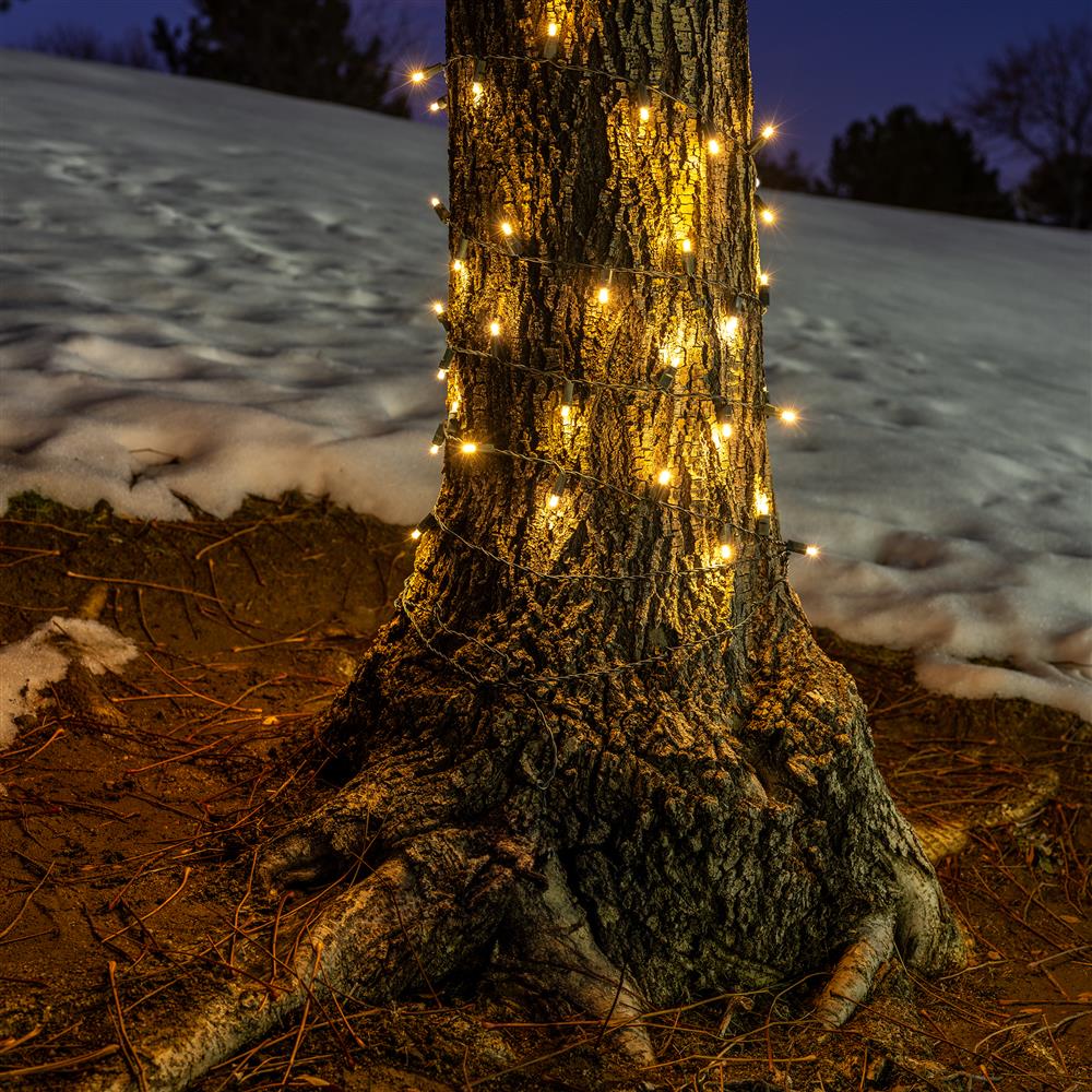 Tree trunk wrapped with mini LEDs