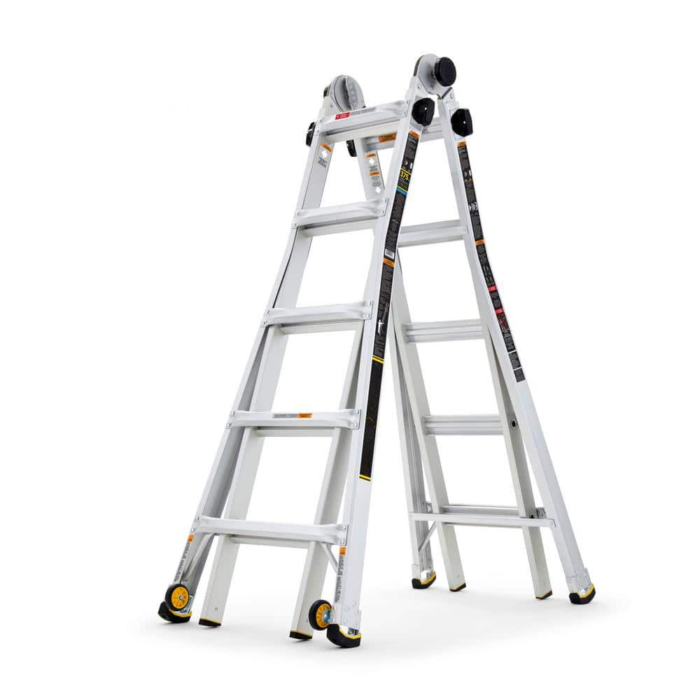 Multi-position ladder
