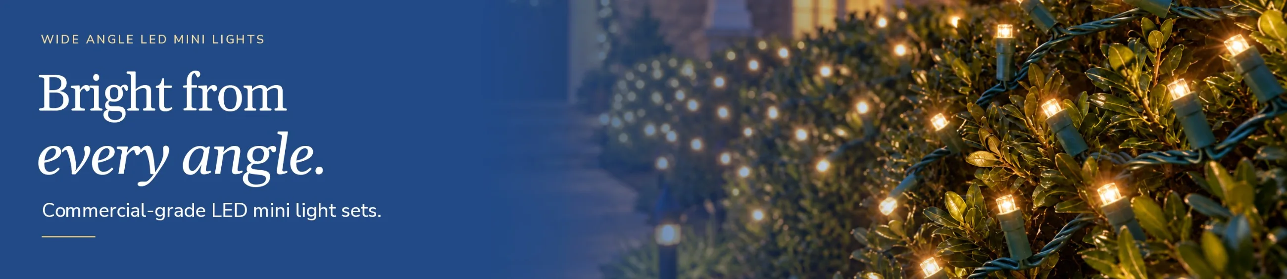 Wide angle LED mini lights: bright from every angle.